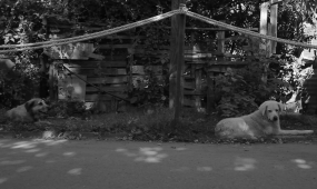 vlcsnap-2015-09-13-17h01m40s765-942a3485